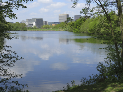 906287 Gezicht op universiteitsgebouwen op Universiteitscentrum De Uithof, van bij de fortgracht van het Fort bij ...